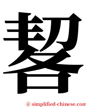 㗉 serif font