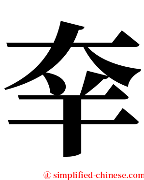 㚔 serif font