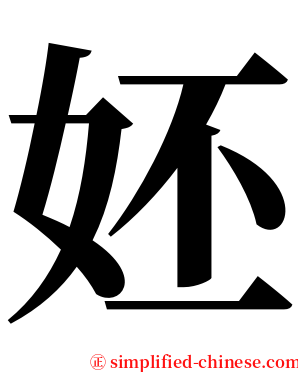 㚰 serif font