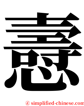 㦞 serif font
