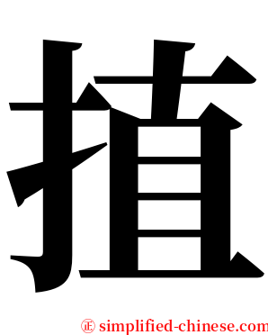 㨁 serif font