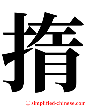 㨊 serif font
