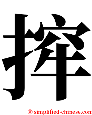 㨓 serif font