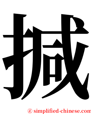 㨔 serif font