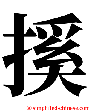 㨙 serif font