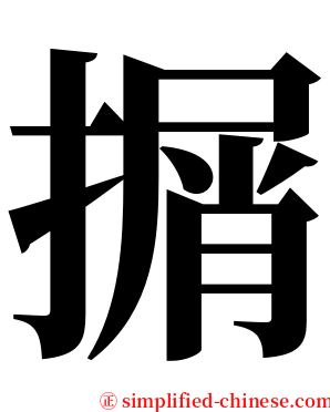 㨝 serif font