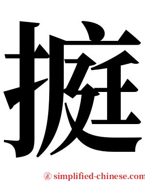 㨩 serif font