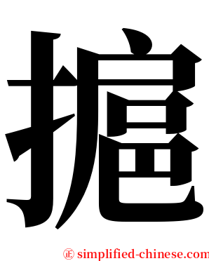 㨭 serif font