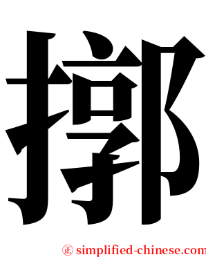 㨯 serif font