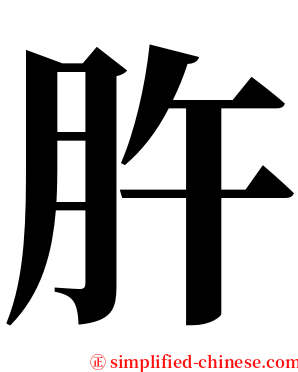 㬳 serif font