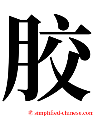 㬵 serif font
