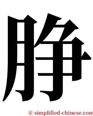 㬹 serif font