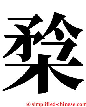 㮗 serif font