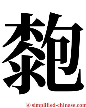 㯡 serif font