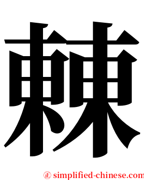 㯥 serif font