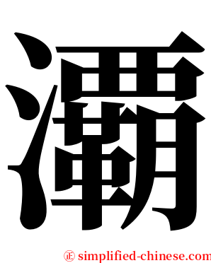 㶚 serif font