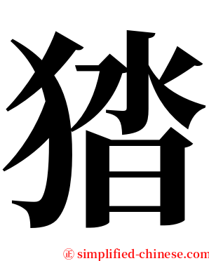 㹺 serif font