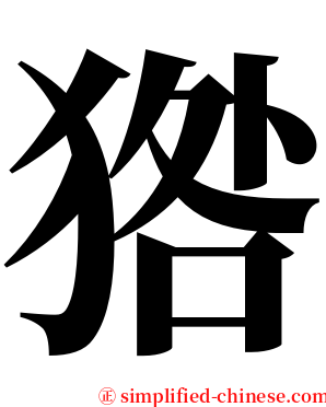 㹾 serif font