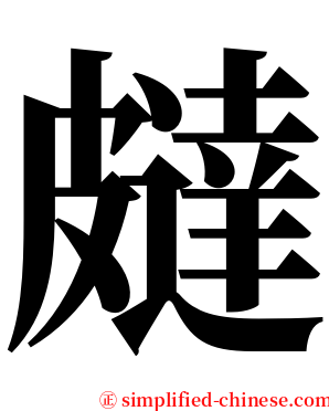 㿹 serif font