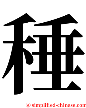 䅜 serif font