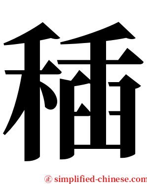 䅤 serif font