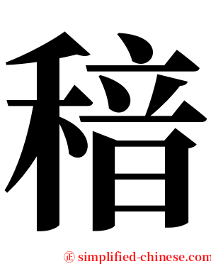 䅧 serif font