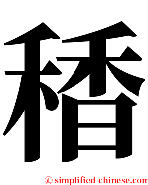 䅨 serif font