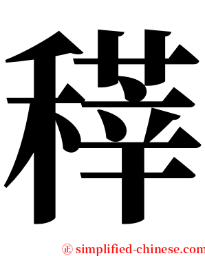 䅸 serif font