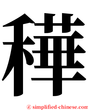 䅿 serif font