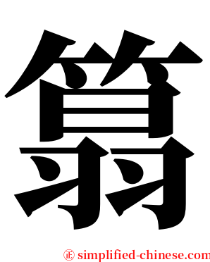 䈳 serif font