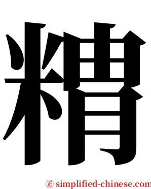 䊘 serif font