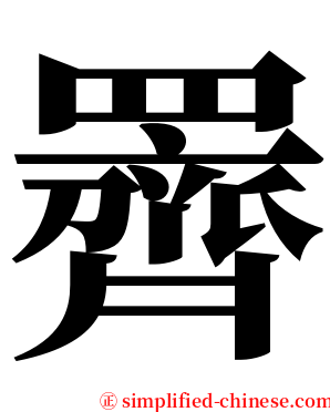 䍤 serif font