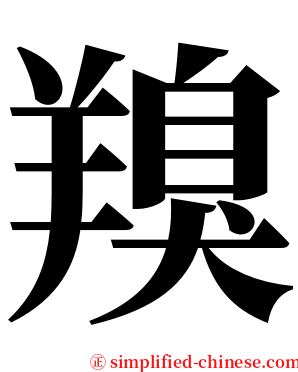 䍹 serif font