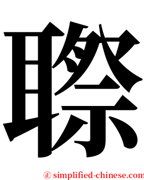 䏅 serif font