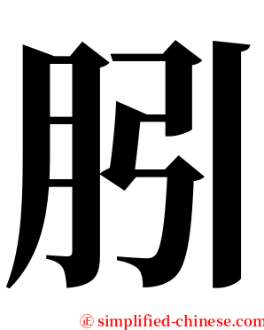 䏖 serif font