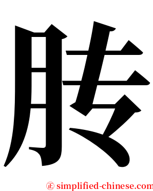 䏝 serif font