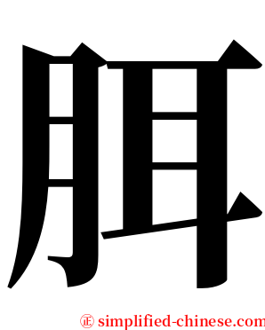 䏪 serif font