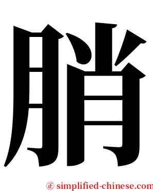 䏴 serif font
