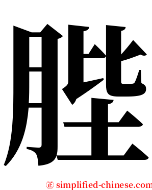 䏶 serif font