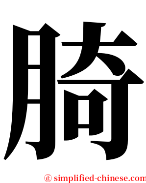 䐀 serif font