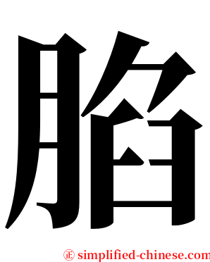䐄 serif font