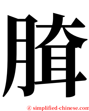 䐛 serif font