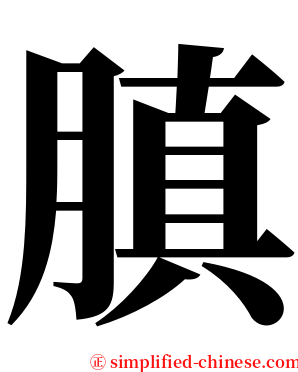 䐜 serif font