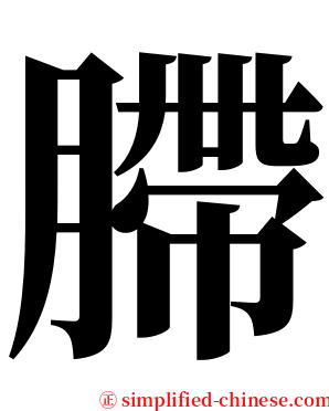 䐭 serif font