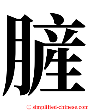 䐮 serif font
