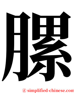 䐯 serif font