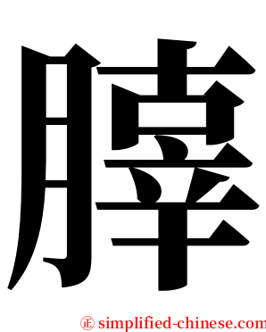 䐻 serif font