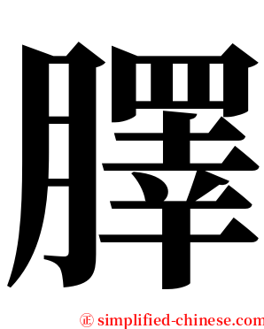 䐾 serif font