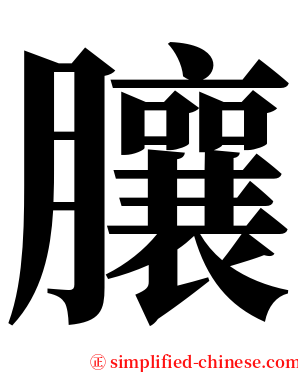 䑋 serif font