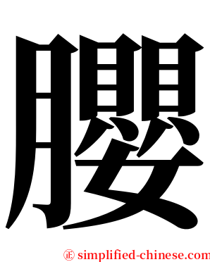 䑍 serif font